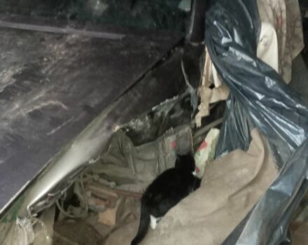 Фиолетовый Мерседес С Класс, объемом двигателя 5 л и пробегом 333 тыс. км за 3000 $, фото 4 на Automoto.ua