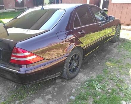 Мерседес С Класс 1999 в Черновцах на Automoto.ua Красный Мерседес С Класс, объемом двигателя 4.3 л и пробегом 350 тыс. км за 6500 $, фото 7 на Automoto.ua