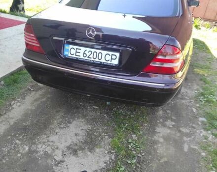 Мерседес С Класс 1999 в Черновцах на Automoto.ua Красный Мерседес С Класс, объемом двигателя 4.3 л и пробегом 350 тыс. км за 6500 $, фото 8 на Automoto.ua