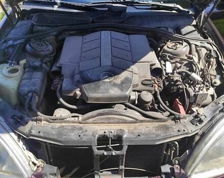 Мерседес С Класс 1999 в Черновцах на Automoto.ua Красный Мерседес С Класс, объемом двигателя 4.3 л и пробегом 350 тыс. км за 6500 $, фото 1 на Automoto.ua