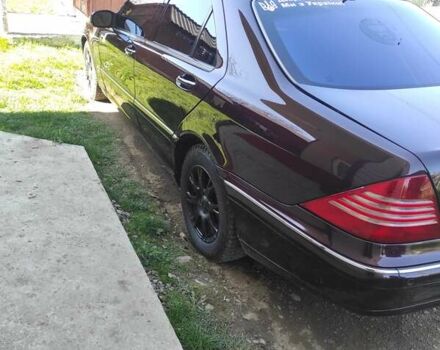 Мерседес С Класс 1999 в Черновцах на Automoto.ua Красный Мерседес С Класс, объемом двигателя 4.3 л и пробегом 350 тыс. км за 6500 $, фото 9 на Automoto.ua