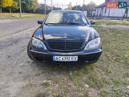 Мерседес С Класс 1998 в Луцке на Automoto.ua Мерседес С Класс, объемом двигателя 0 л и пробегом 415 тыс. км за 5499 $, фото 1 на Automoto.ua