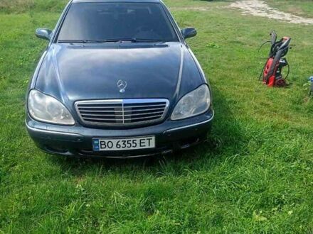 Мерседес С Клас 2001 у Чорткові на Automoto.ua Мерседес С Клас, об'ємом двигуна 3.2 л та пробігом 310 тис. км за 4999 $, фото 1 на Automoto.ua