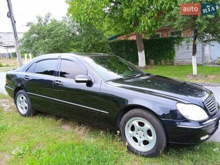 Мерседес С Класс 2001 в Днепре (Днепропетровске) на Automoto.ua Мерседес С Класс, объемом двигателя 5 л и пробегом 270 тыс. км за 8000 $, фото 1 на Automoto.ua