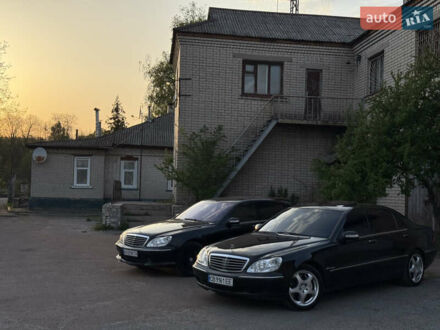 Мерседес С Класс 2002 в Нежине на Automoto.ua Мерседес С Класс, объемом двигателя 5.5 л и пробегом 312 тыс. км за 6000 $, фото 1 на Automoto.ua