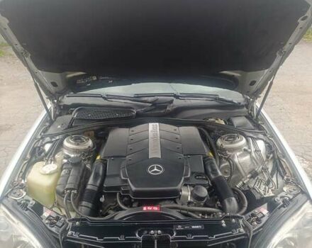 Мерседес С Клас 2001 у Кам'янське (Дніпродзержинськ) на Automoto.ua Сірий Мерседес С Клас, об'ємом двигуна 5 л та пробігом 300 тис. км за 6500 $, фото 12 на Automoto.ua