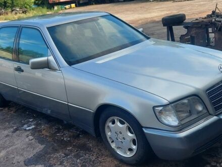 Мерседес С Класс 1992 в Корюковке на Automoto.ua Серый Мерседес С Класс, объемом двигателя 4 л и пробегом 388 тыс. км за 3800 $, фото 1 на Automoto.ua