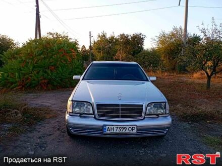 Мерседес С Клас 1996 у Краматорске на Automoto.ua Сірий Мерседес С Клас, об'ємом двигуна 3 л та пробігом 0 тис. км за 8000 $, фото 1 на Automoto.ua