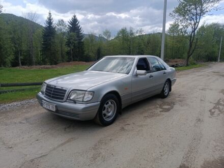 Мерседес С Класс 1996 в Ивано-Франковске на Automoto.ua Серый Мерседес С Класс, объемом двигателя 3.2 л и пробегом 306 тыс. км за 4500 $, фото 1 на Automoto.ua