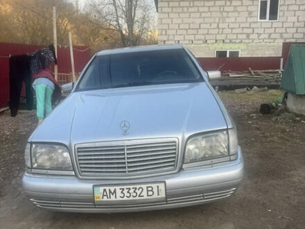Мерседес С Класс 1997 в Житомире на Automoto.ua Серый Мерседес С Класс, объемом двигателя 5 л и пробегом 422 тыс. км за 3500 $, фото 1 на Automoto.ua