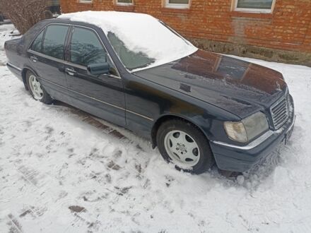 Серый Мерседес С Класс, объемом двигателя 4 л и пробегом 300 тыс. км за 6450 $, фото 1 на Automoto.ua