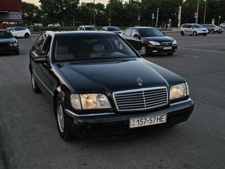 Мерседес С Клас 1997 у Сумах на Automoto.ua Сірий Мерседес С Клас, об'ємом двигуна 5 л та пробігом 450 тис. км за 2999 $, фото 1 на Automoto.ua