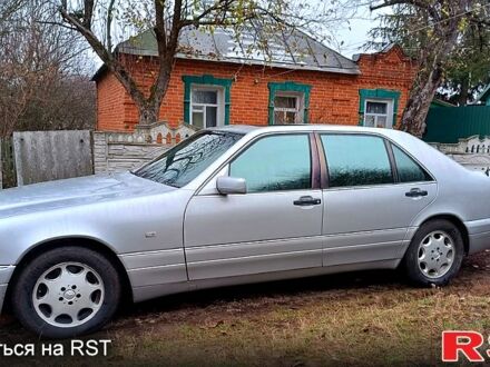 Мерседес С Клас 1997 у Сумах на Automoto.ua Сірий Мерседес С Клас, об'ємом двигуна 4.2 л та пробігом 0 тис. км за 5800 $, фото 1 на Automoto.ua