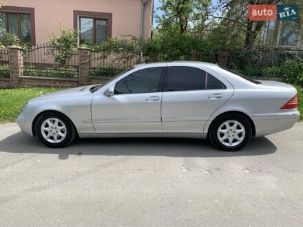 Мерседес С Класс 2001 в Тернополе на Automoto.ua Серый Мерседес С Класс, объемом двигателя 4 л и пробегом 223 тыс. км за 6350 $, фото 1 на Automoto.ua