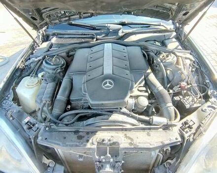 Синий Мерседес С Класс, объемом двигателя 5 л и пробегом 417 тыс. км за 5200 $, фото 7 на Automoto.ua