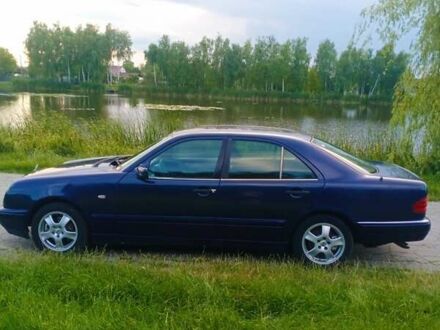 Мерседес С Класс 1997 в Емильчином на Automoto.ua Синий Мерседес С Класс, объемом двигателя 2.8 л и пробегом 230 тыс. км за 2500 $, фото 1 на Automoto.ua