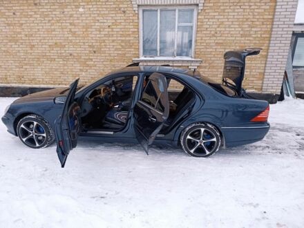 Синий Мерседес С Класс, объемом двигателя 5 л и пробегом 443 тыс. км за 3999 $, фото 1 на Automoto.ua