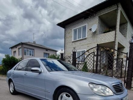 Мерседес С Класс 2001 в Миколаїв на Automoto.ua Синий Мерседес С Класс, объемом двигателя 4 л и пробегом 404 тыс. км за 4500 $, фото 1 на Automoto.ua