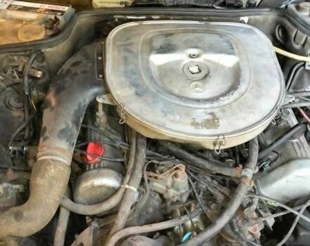 Зеленый Мерседес С Класс, объемом двигателя 5 л и пробегом 400 тыс. км за 2900 $, фото 7 на Automoto.ua