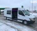 Белый Мерседес Sprinter 316 груз.-пасс., объемом двигателя 2.1 л и пробегом 236 тыс. км за 29000 $, фото 1 на Automoto.ua