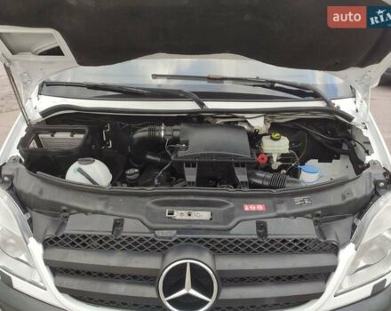Мерседес Sprinter 2010 в Ровно на Automoto.ua Белый Мерседес Sprinter, объемом двигателя 0 л и пробегом 190 тыс. км за 28800 $, фото 49 на Automoto.ua