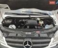 Мерседес Sprinter 2010 в Ровно на Automoto.ua Белый Мерседес Sprinter, объемом двигателя 0 л и пробегом 190 тыс. км за 28800 $, фото 49 на Automoto.ua