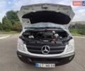 Білий Мерседес Sprinter, об'ємом двигуна 0 л та пробігом 281 тис. км за 29900 $, фото 45 на Automoto.ua