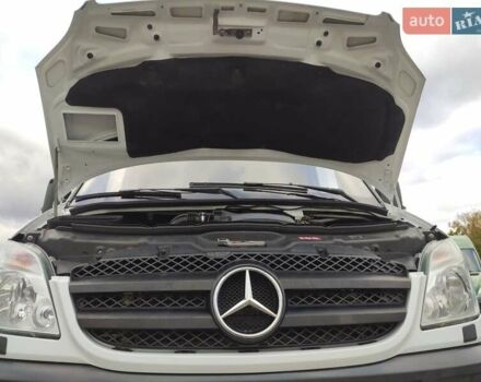 Мерседес Sprinter 2010 в Ровно на Automoto.ua Белый Мерседес Sprinter, объемом двигателя 0 л и пробегом 190 тыс. км за 28800 $, фото 45 на Automoto.ua