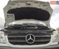 Мерседес Sprinter 2010 в Ровно на Automoto.ua Белый Мерседес Sprinter, объемом двигателя 0 л и пробегом 190 тыс. км за 28800 $, фото 45 на Automoto.ua