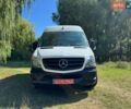 Белый Мерседес Sprinter, объемом двигателя 2.2 л и пробегом 399 тыс. км за 19300 $, фото 34 на Automoto.ua