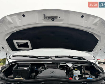 Білий Мерседес Sprinter, об'ємом двигуна 2 л та пробігом 226 тис. км за 23900 $, фото 30 на Automoto.ua