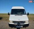 Білий Мерседес Sprinter, об'ємом двигуна 2.9 л та пробігом 250 тис. км за 6500 $, фото 1 на Automoto.ua