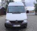 Мерседес Sprinter 2002 у Києві на Automoto.ua Білий Мерседес Sprinter, об'ємом двигуна 2.1 л та пробігом 570 тис. км за 16300 $, фото 1 на Automoto.ua
