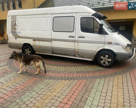 Білий Мерседес Sprinter, об'ємом двигуна 2.15 л та пробігом 770 тис. км за 8000 $, фото 1 на Automoto.ua
