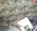 Белый Мерседес Sprinter, объемом двигателя 3.03 л и пробегом 139 тыс. км за 23450 $, фото 35 на Automoto.ua