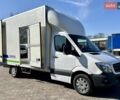 Білий Мерседес Sprinter, об'ємом двигуна 0 л та пробігом 260 тис. км за 21550 $, фото 19 на Automoto.ua
