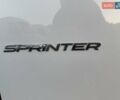 Белый Мерседес Sprinter, объемом двигателя 2 л и пробегом 311 тыс. км за 23900 $, фото 60 на Automoto.ua