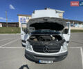 Белый Мерседес Sprinter, объемом двигателя 2.99 л и пробегом 380 тыс. км за 25000 $, фото 28 на Automoto.ua
