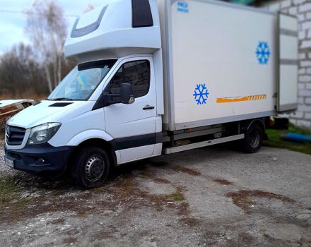 Білий Мерседес Sprinter, об'ємом двигуна 3 л та пробігом 345 тис. км за 28000 $, фото 6 на Automoto.ua
