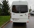 Білий Мерседес Sprinter, об'ємом двигуна 2.99 л та пробігом 380 тис. км за 29999 $, фото 15 на Automoto.ua