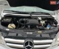 Белый Мерседес Sprinter, объемом двигателя 0 л и пробегом 424 тыс. км за 34990 $, фото 14 на Automoto.ua