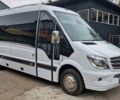 Белый Мерседес Sprinter, объемом двигателя 3 л и пробегом 340 тыс. км за 59900 $, фото 10 на Automoto.ua