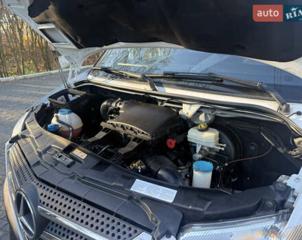 Белый Мерседес Sprinter, объемом двигателя 3 л и пробегом 312 тыс. км за 63800 $, фото 43 на Automoto.ua