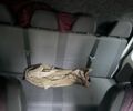Білий Мерседес Sprinter, об'ємом двигуна 2.2 л та пробігом 430 тис. км за 15500 $, фото 16 на Automoto.ua