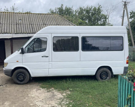 Мерседес Sprinter 1996 в Голованевске на Automoto.ua Белый Мерседес Sprinter, объемом двигателя 2.3 л и пробегом 312 тыс. км за 5100 $, фото 3 на Automoto.ua