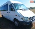 Білий Мерседес Sprinter, об'ємом двигуна 2.2 л та пробігом 1000 тис. км за 6700 $, фото 1 на Automoto.ua