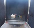 Белый Мерседес Sprinter, объемом двигателя 2.2 л и пробегом 506 тыс. км за 10500 $, фото 8 на Automoto.ua