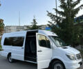 Белый Мерседес Sprinter, объемом двигателя 2.14 л и пробегом 665 тыс. км за 25000 $, фото 12 на Automoto.ua