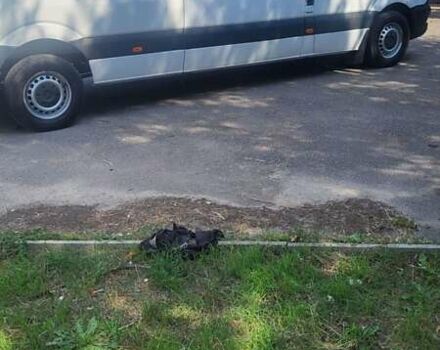 Білий Мерседес Sprinter, об'ємом двигуна 2.1 л та пробігом 470 тис. км за 24000 $, фото 2 на Automoto.ua