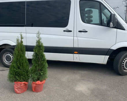 Білий Мерседес Sprinter, об'ємом двигуна 2.3 л та пробігом 280 тис. км за 18870 $, фото 3 на Automoto.ua
